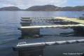 kongensvoll_marina_2